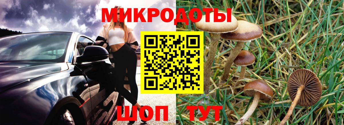Псилоцибиновые грибы MAGIC MUSHROOMS  Вход с VPN  Галлюциногенные грибы MAGIC MUSHROOMS  Туймазы 