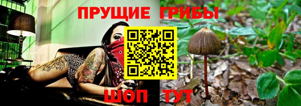 Псилоцибиновые грибы MAGIC MUSHROOMS Туймазы